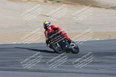 media/Feb-04-2024-SoCal Trackdays (Sun) [[91d6515b1d]]/4-Bowl Backside (11am)/